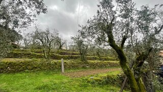 Land for sale in Amarante, Portugal — €85,000