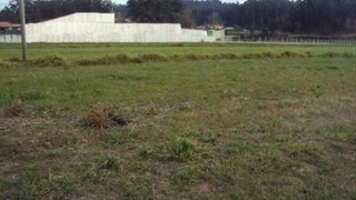 Terreno em Oliveira de Azeméis