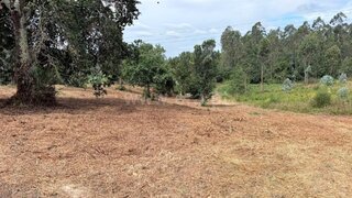 Land for sale in Águeda, Portugal — €195,000