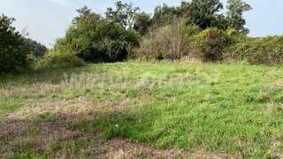 Land for sale in Sever do Vouga, Portugal — €30,000
