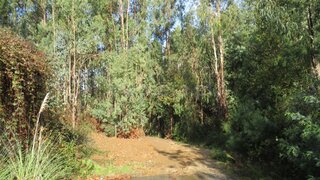 Land for sale in Oliveira de Azeméis, Portugal — €27,380