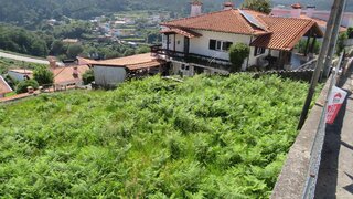 Land for sale in Oliveira de Azeméis, Portugal — €52,500