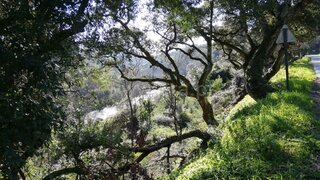 Land for sale in Paredes, Portugal — €42,000