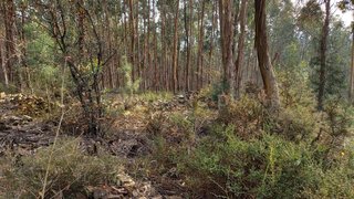 Land for sale in Trofa, Portugal — €1,000,000