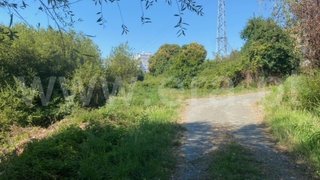 Land for sale in Albergaria-a-Velha, Portugal — €200,000