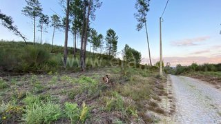 Land for sale in Amarante, Portugal — €47,000