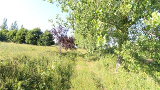 Land for sale in Vila Nova de Gaia, Portugal — €1,200,000