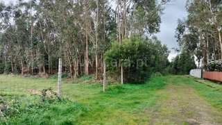 Land for sale in Santa Maria da Feira, Portugal — €120,000