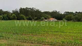 Land for sale in Albergaria-a-Velha, Portugal — €33,500