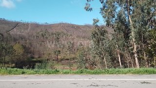 Land for sale in Paredes, Portugal — €40,000