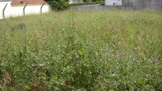 Land for sale in Ovar, Portugal — €390,000