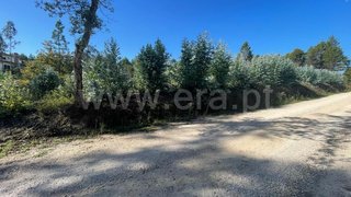Land for sale in Albergaria-a-Velha, Portugal — €110,000