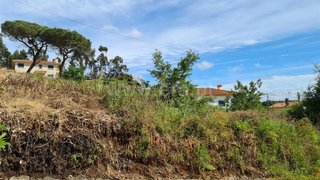 Land for sale in Albergaria-a-Velha, Portugal — €48,000