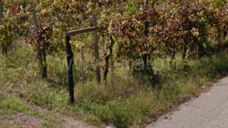 Land for sale in Oliveira do Bairro, Portugal — €95,000