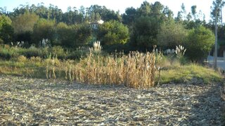 Land for sale in Vila Nova de Gaia, Portugal — €109,000