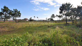 Land for sale in Vagos, Portugal — €95,000