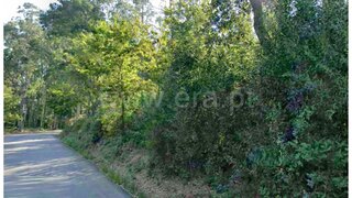 Land for sale in Oliveira de Azeméis, Portugal — €195,000