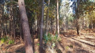 Land for sale in Santa Maria da Feira, Portugal — €40,000
