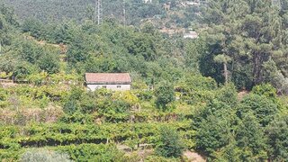 Land for sale in Penafiel, Portugal — €59,900