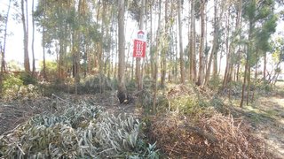 Land for sale in Espinho, Portugal — €60,000