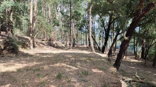 Land for sale in Arouca, Portugal — €65,000