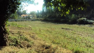 Land for sale in Oliveira de Azeméis, Portugal — €27,500