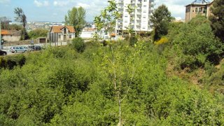 Land for sale in Oliveira de Azeméis, Portugal — €850,000