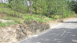 Land for sale in Marco de Canaveses, Portugal — €75,000
