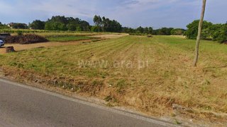 Land for sale in Anadia, Portugal — €50,000