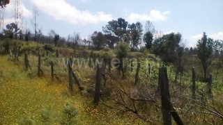 Land for sale in Gondomar, Portugal