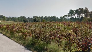 Land for sale in Oliveira do Bairro, Portugal — €160,000