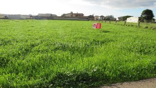 Land for sale in Oliveira de Azeméis, Portugal — €67,380