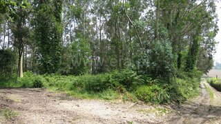 Land for sale in Vila do Conde, Portugal — €195,000