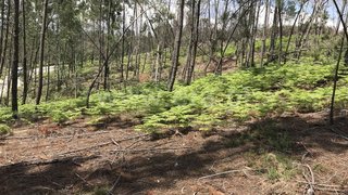 Land for sale in Amarante, Portugal — €25,000