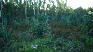 Land for sale in Espinho, Portugal — €99,000