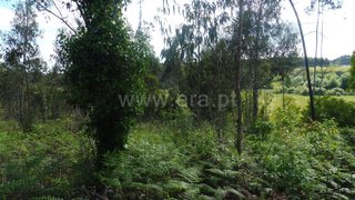 Land for sale in Santa Maria da Feira, Portugal — €100,000