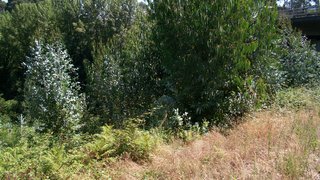 Land for sale in Vila Nova de Gaia, Portugal — €37,500