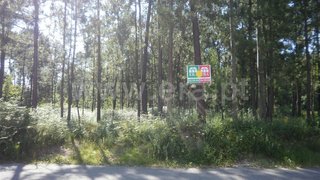Land for sale in Santa Maria da Feira, Portugal — €107,000