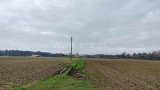 Land for sale in Murtosa, Portugal — €810,250