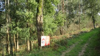 Land for sale in Oliveira de Azeméis, Portugal — €53,000