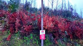 Land for sale in Baião, Portugal — €25,000