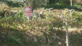 Land for sale in Gondomar, Portugal — €83,000