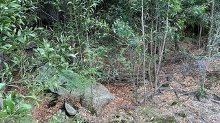 Terreno em Trofa