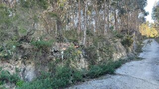Land for sale in Albergaria-a-Velha, Portugal