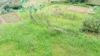 Land for sale in Gondomar, Portugal — €37,500