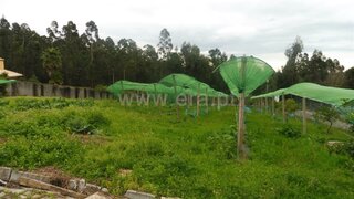 Land for sale in Santa Maria da Feira, Portugal — €69,700