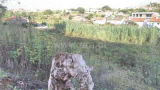 Land for sale in Águeda, Portugal — €110,000