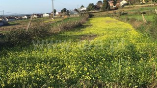 Land for sale in Albergaria-a-Velha, Portugal — €36,000
