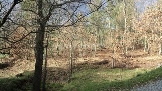 Land for sale in Baião, Portugal — €48,650