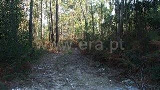 Land for sale in Ovar, Portugal — €25,000